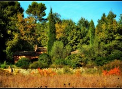 Fonds d'cran Nature Au coeur de l'automne