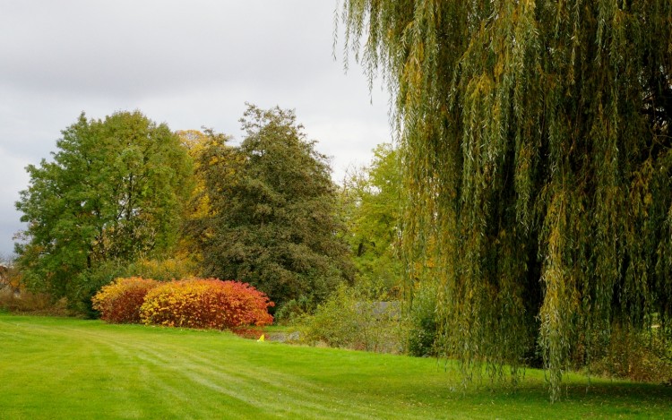 Fonds d'cran Nature Saisons - Automne oh tonne