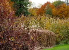 Fonds d'cran Nature c est beau l automne