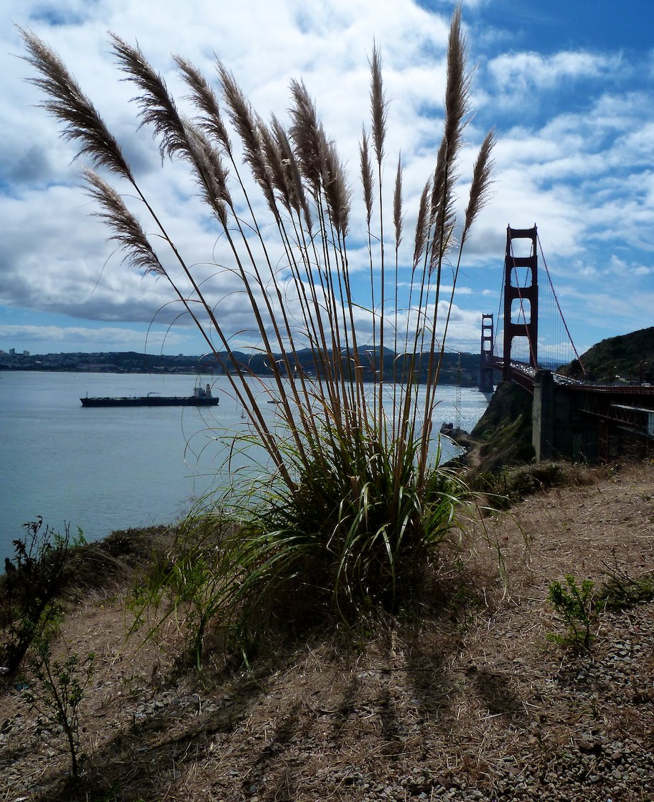 Wallpapers Constructions and architecture Bridges - Aqueduct Golden Gate SF