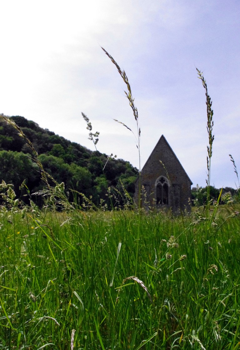 Wallpapers Nature Herbs St Cneri