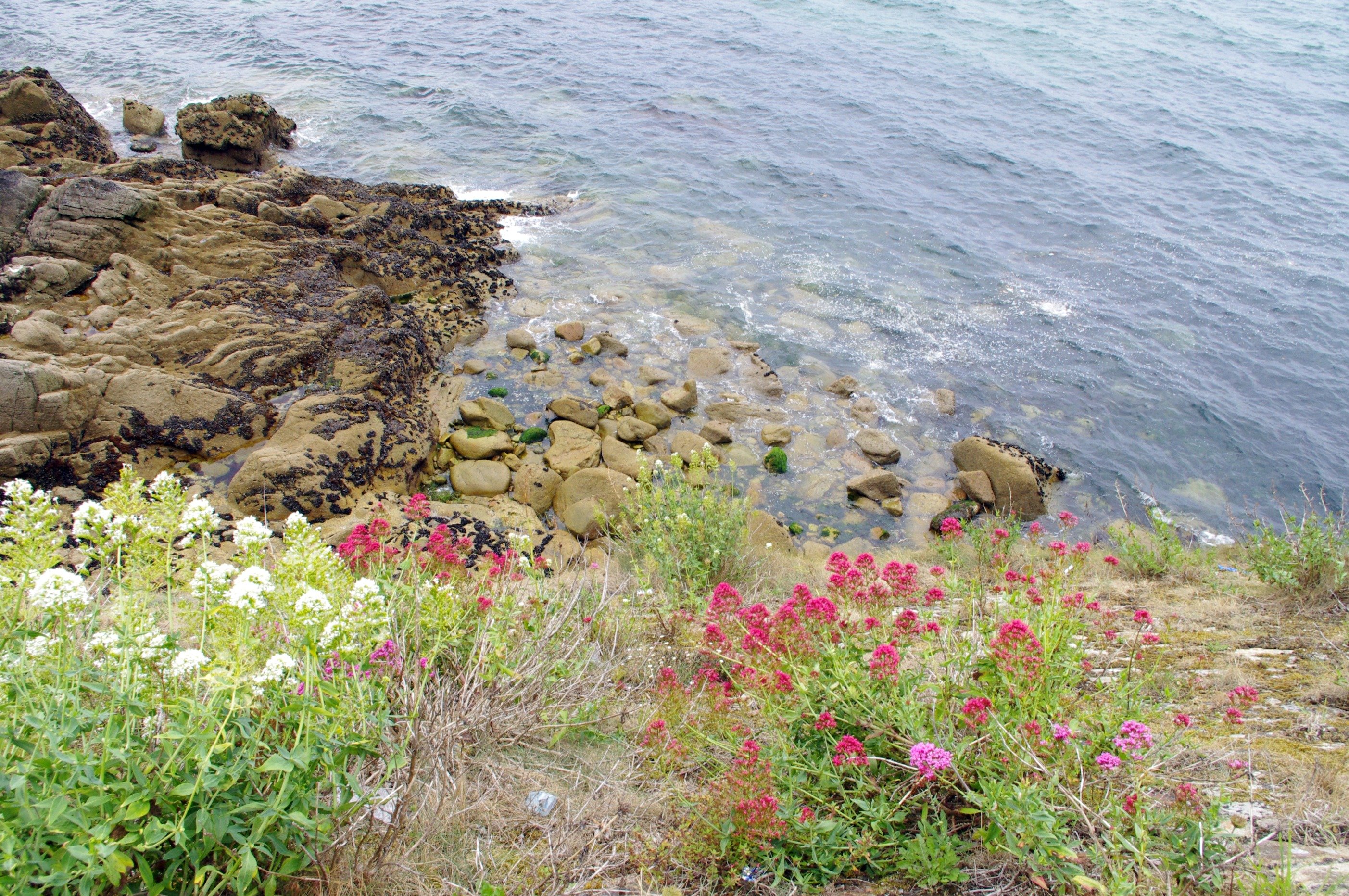 Fonds d'cran Nature Mers - Ocans - Plages 