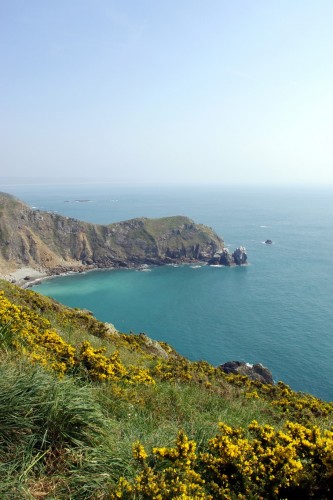 Fonds d'cran Voyages : Europe France > Normandie Nez de Jobourg