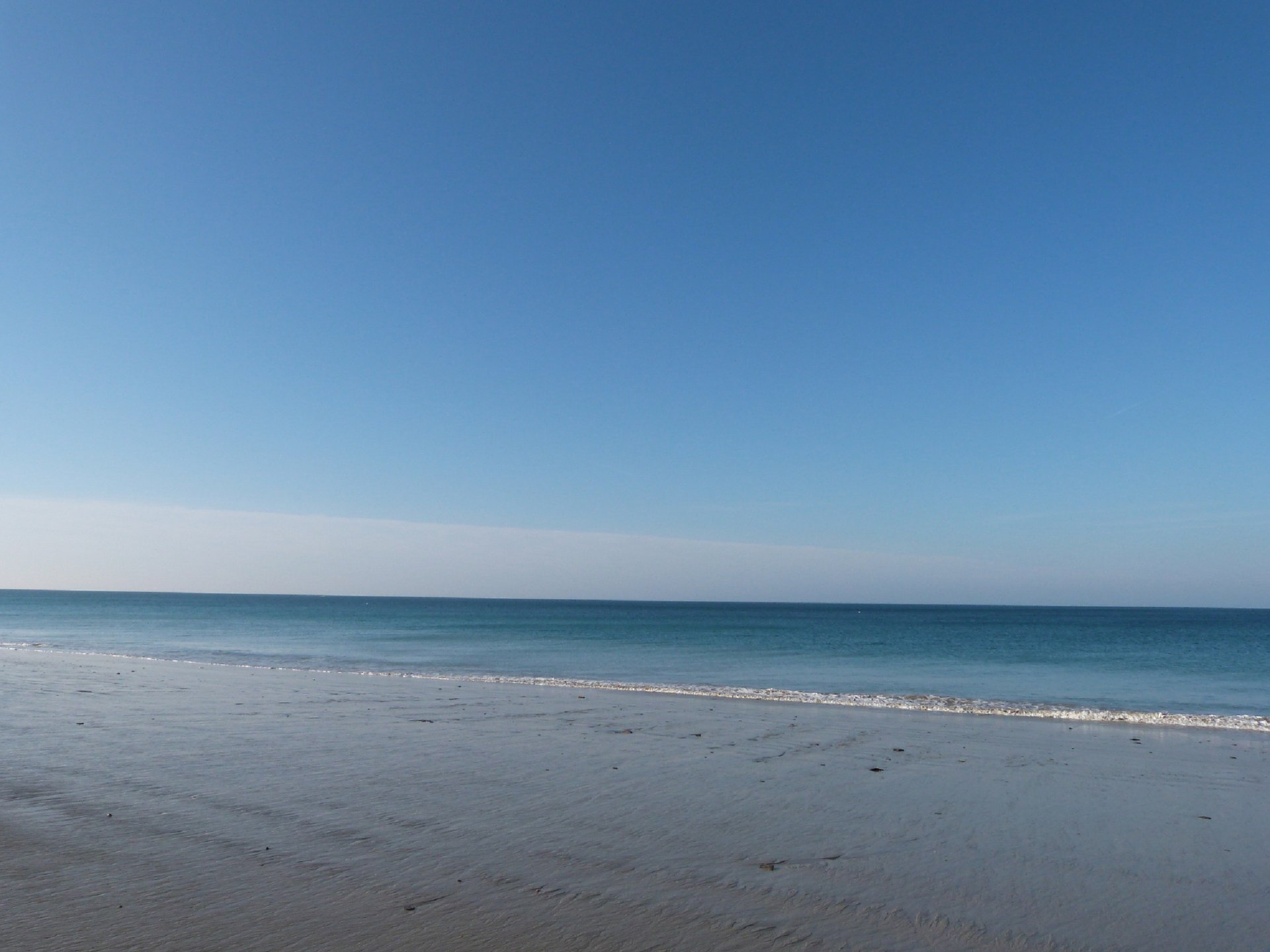 Fonds d'cran Nature Mers - Ocans - Plages Voil pourquoi la plante est Bleue