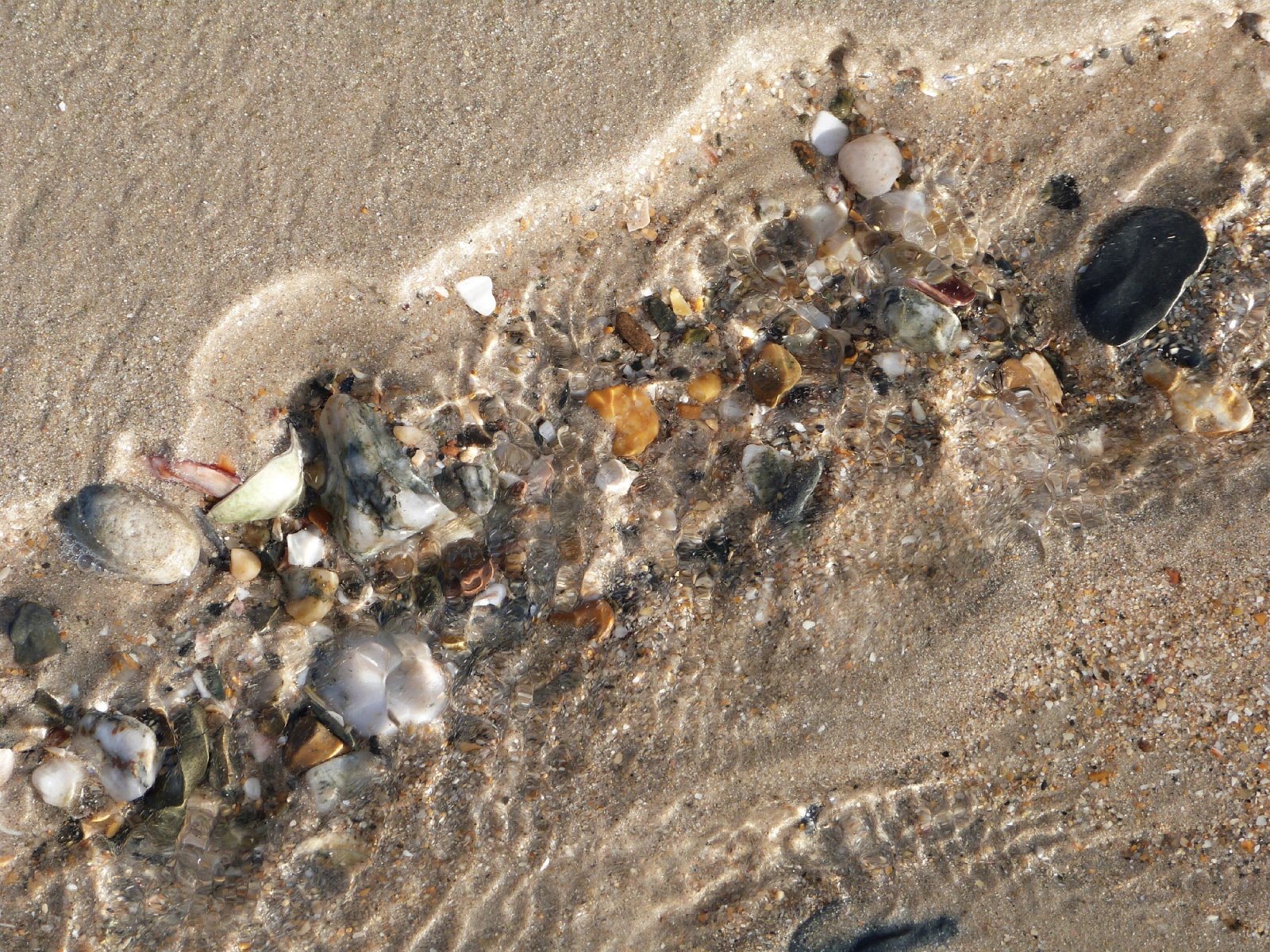 Fonds d'cran Nature Mers - Ocans - Plages L'eau coule, la vie aussi