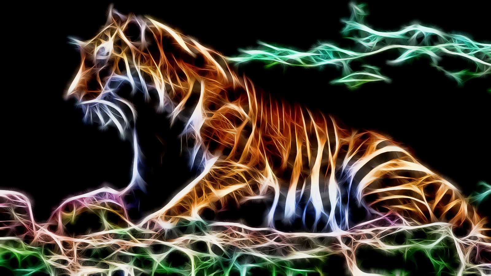 Wallpapers Animals Felines - Tigers 