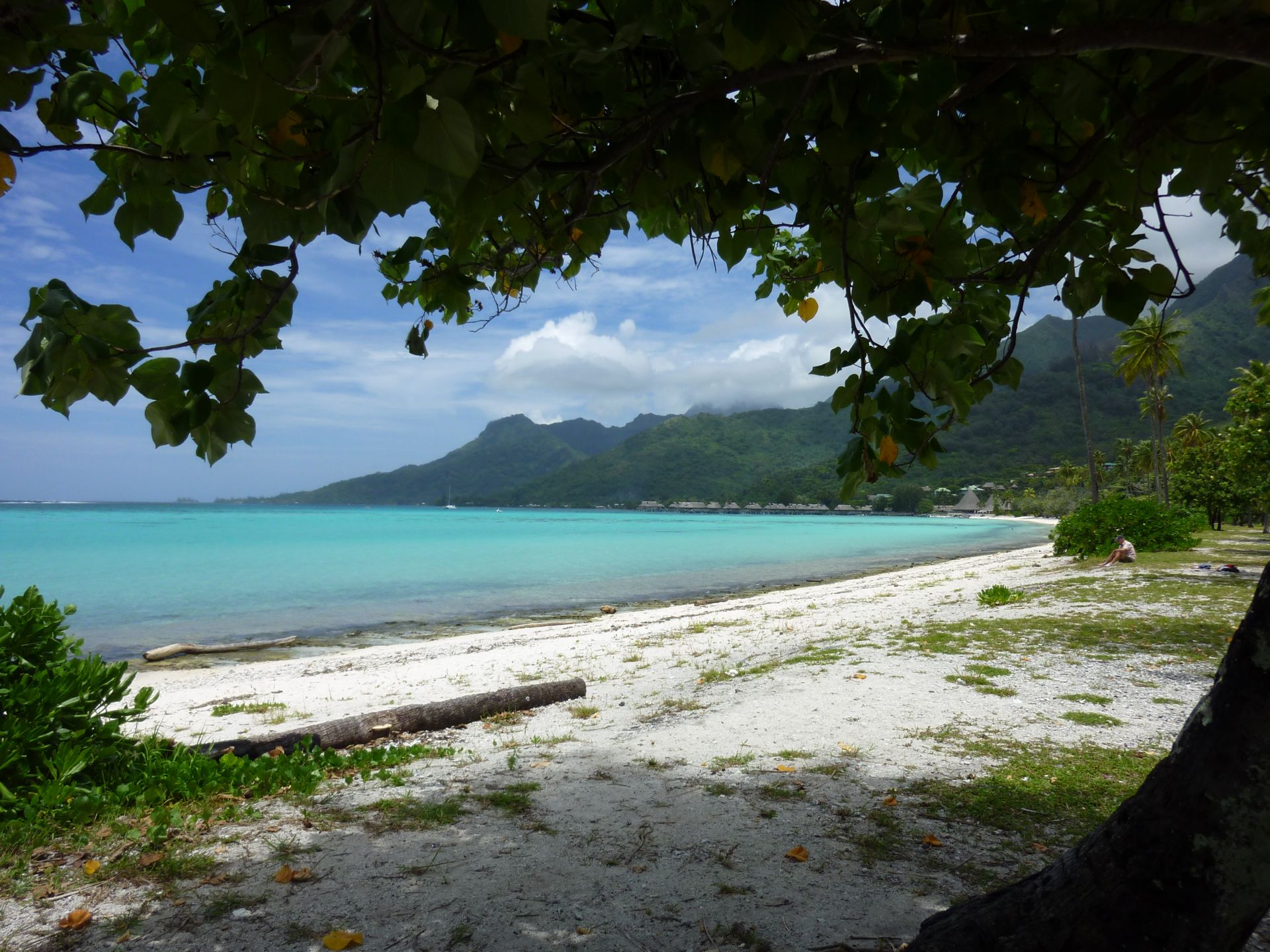 Fonds d'cran Nature Mers - Ocans - Plages Bora Bora