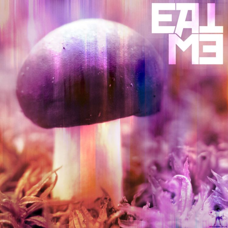 Wallpapers Nature Mushrooms Eat ME