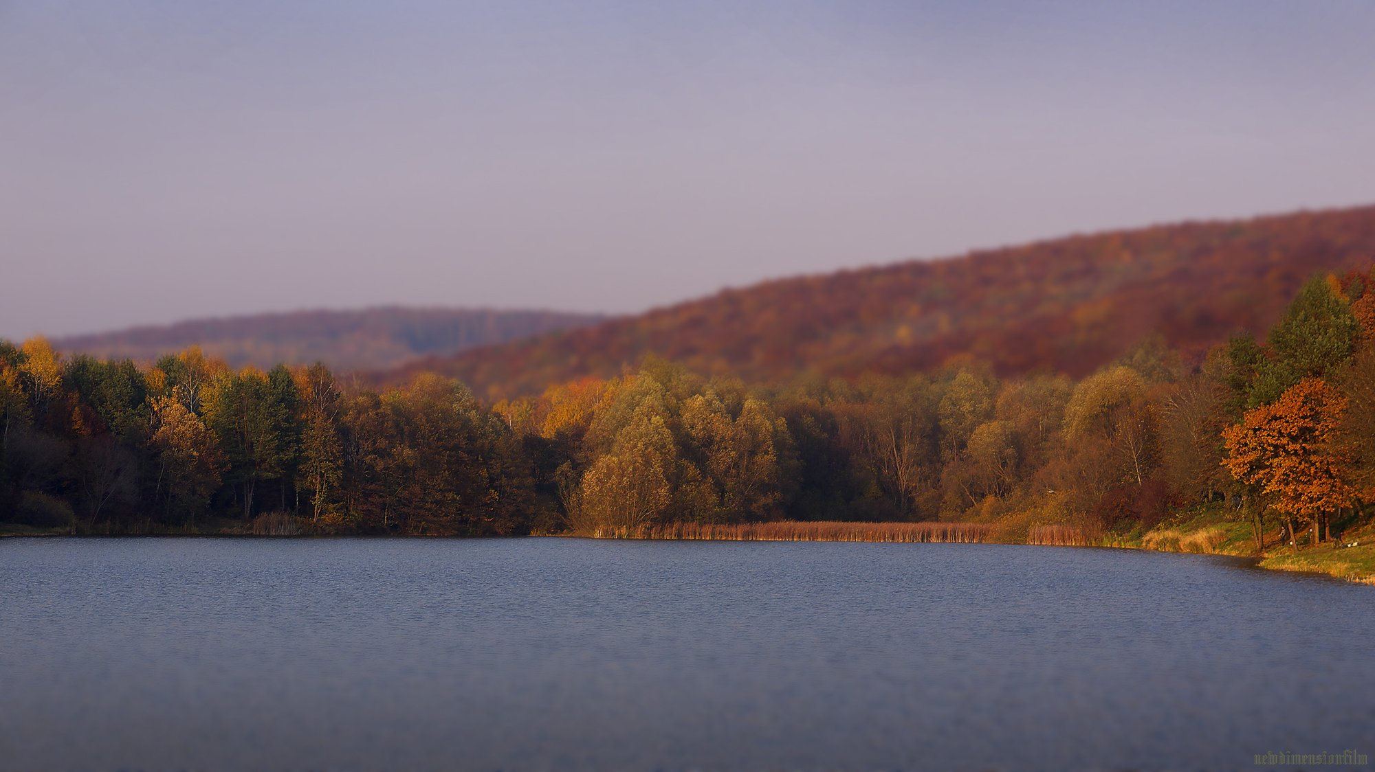 Fonds d'cran Nature Lacs - Etangs Soire  l'tang.