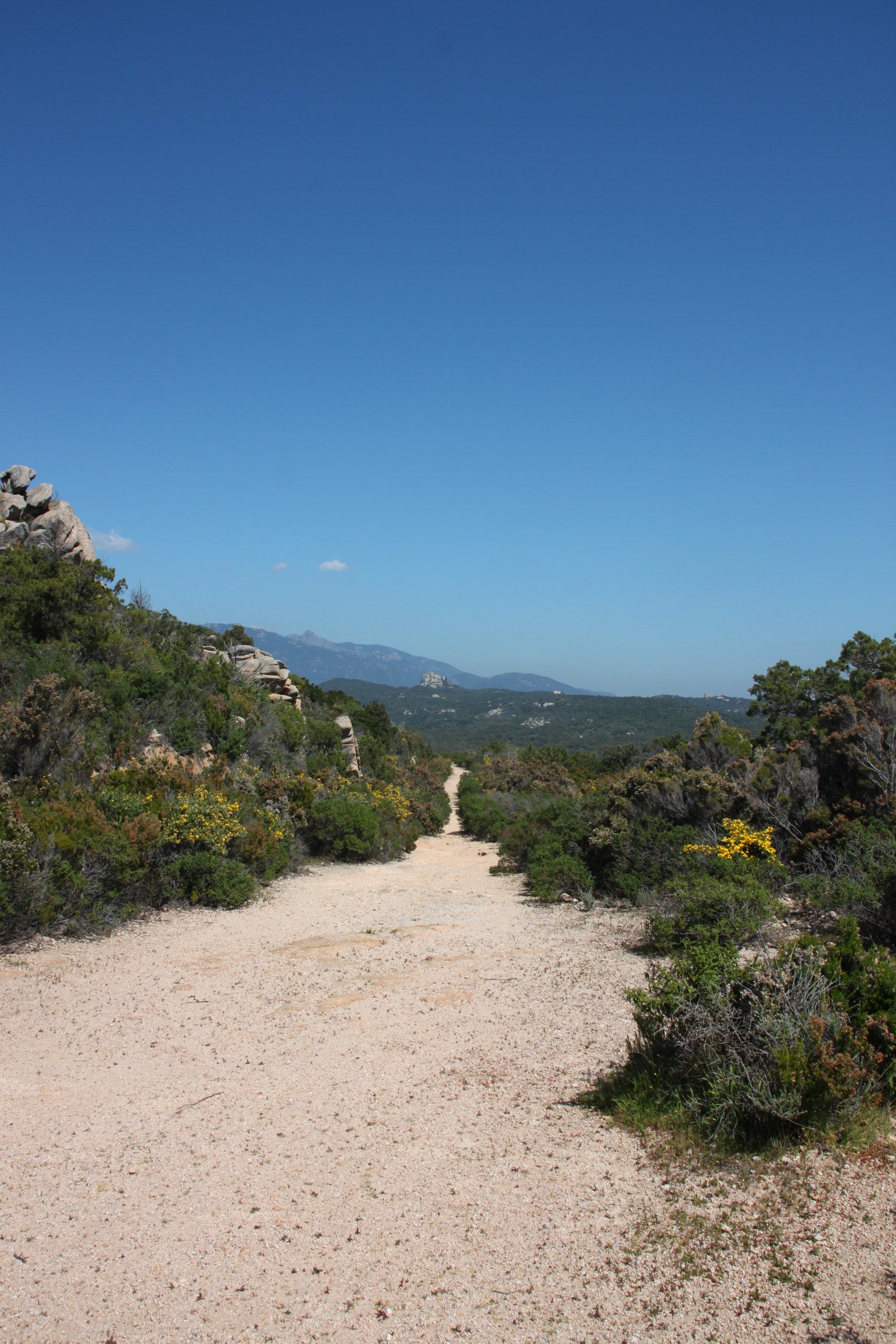 Wallpapers Nature Paths 