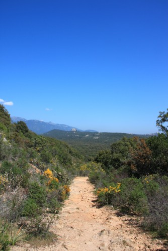 Fonds d'cran Nature Chemins Un chemin