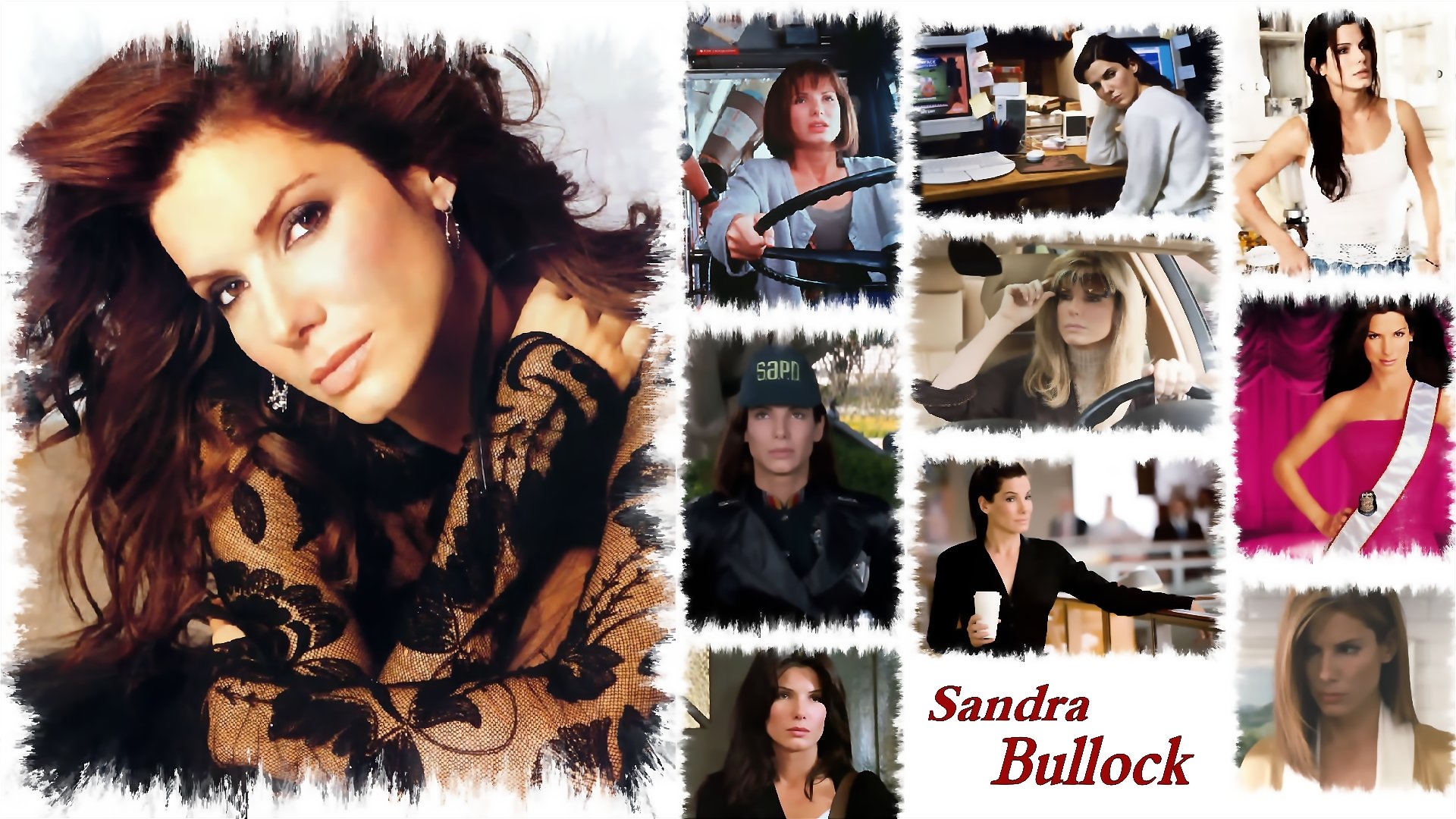 Wallpapers Celebrities Women Sandra Bullock Sandra Bullock Filmography