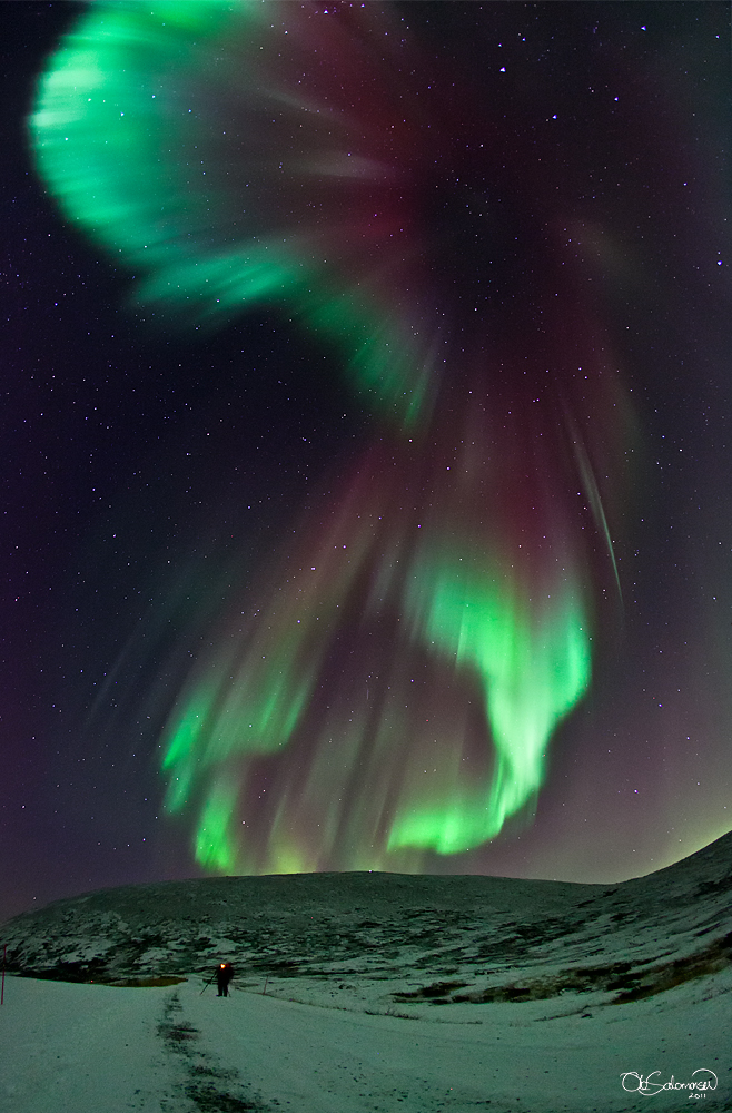 Fonds d'cran Nature Aurores Borales Aurore borale en Norvge