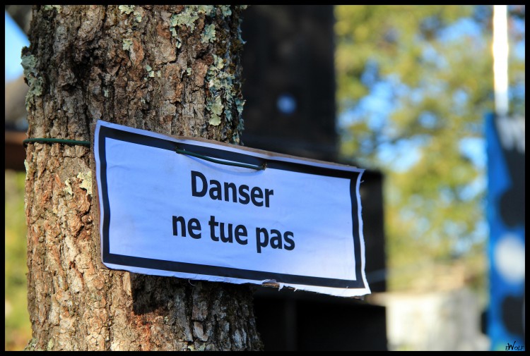 Fonds d'cran Nature Arbres - Forts Danser ne tue pas !