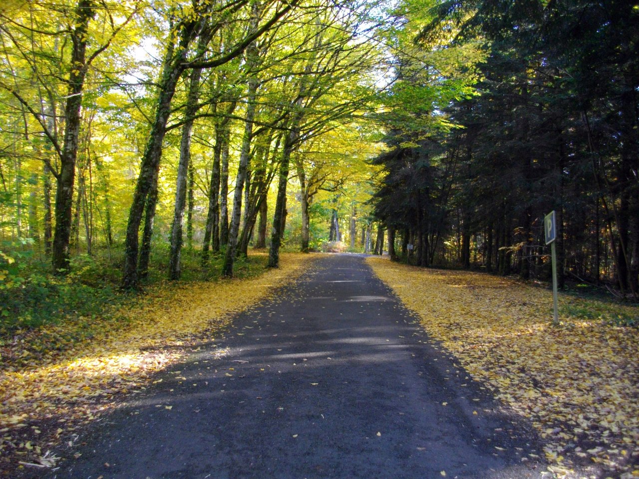 Fonds d'cran Nature Saisons - Automne 