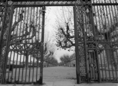 Fonds d'cran Voyages : Europe Porte sur le Peyrou