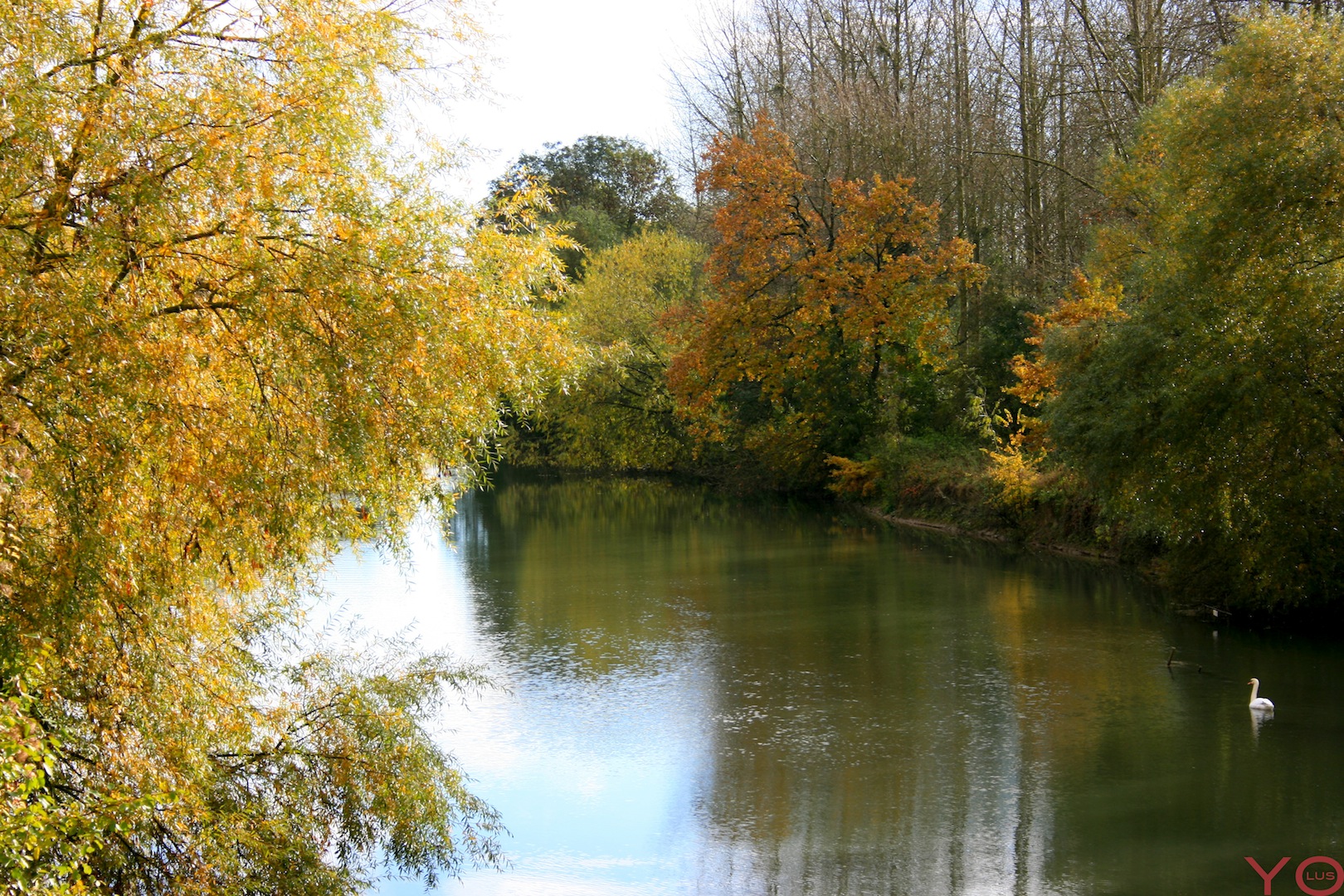 Fonds d'cran Nature Fleuves - Rivires - Torrents Rivire en automne