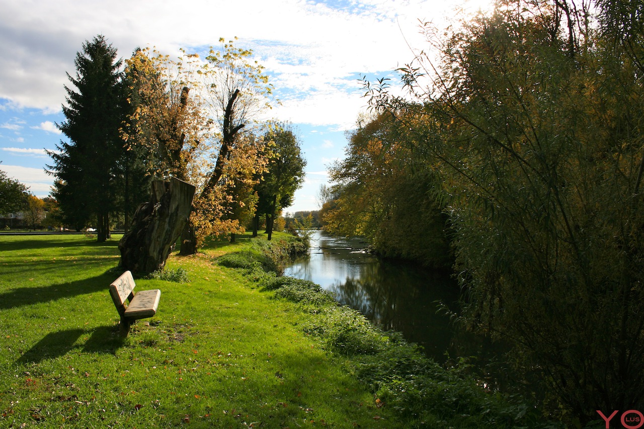 Wallpapers Nature Rivers - Torrents Le calme de l'eau