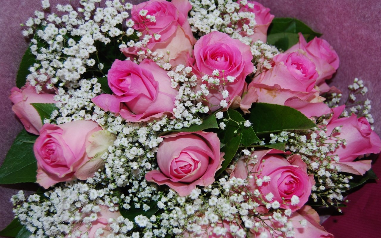 Fonds d'cran Nature Fleurs Pink roses