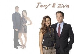 Fonds d'cran Sries TV Ziva & Tony 