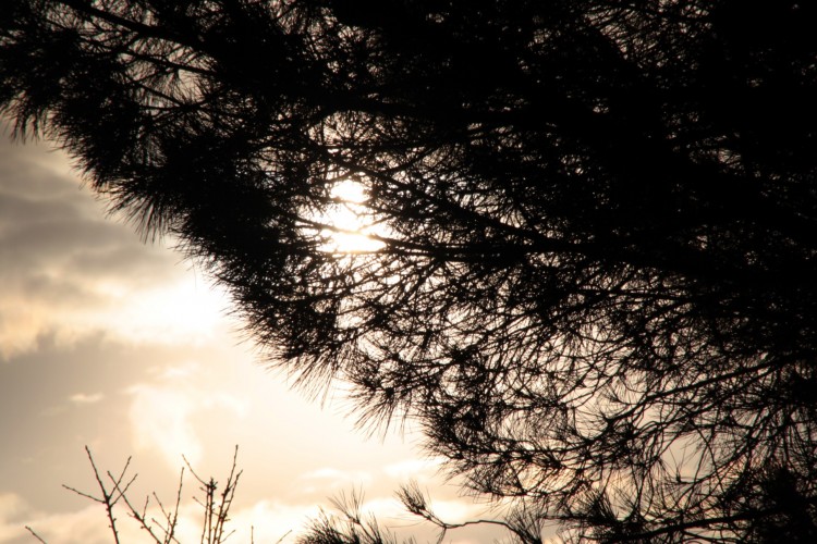 Fonds d'cran Nature Couchers et levers de Soleil Lever de soleil 