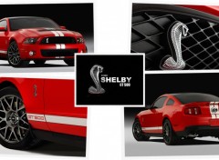 Fonds d'cran Voitures Ford Shelby GT500