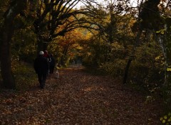 Fonds d'cran Nature Adieu  l'automne 2011