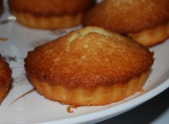 Fonds d'cran Objets Homemade financiers