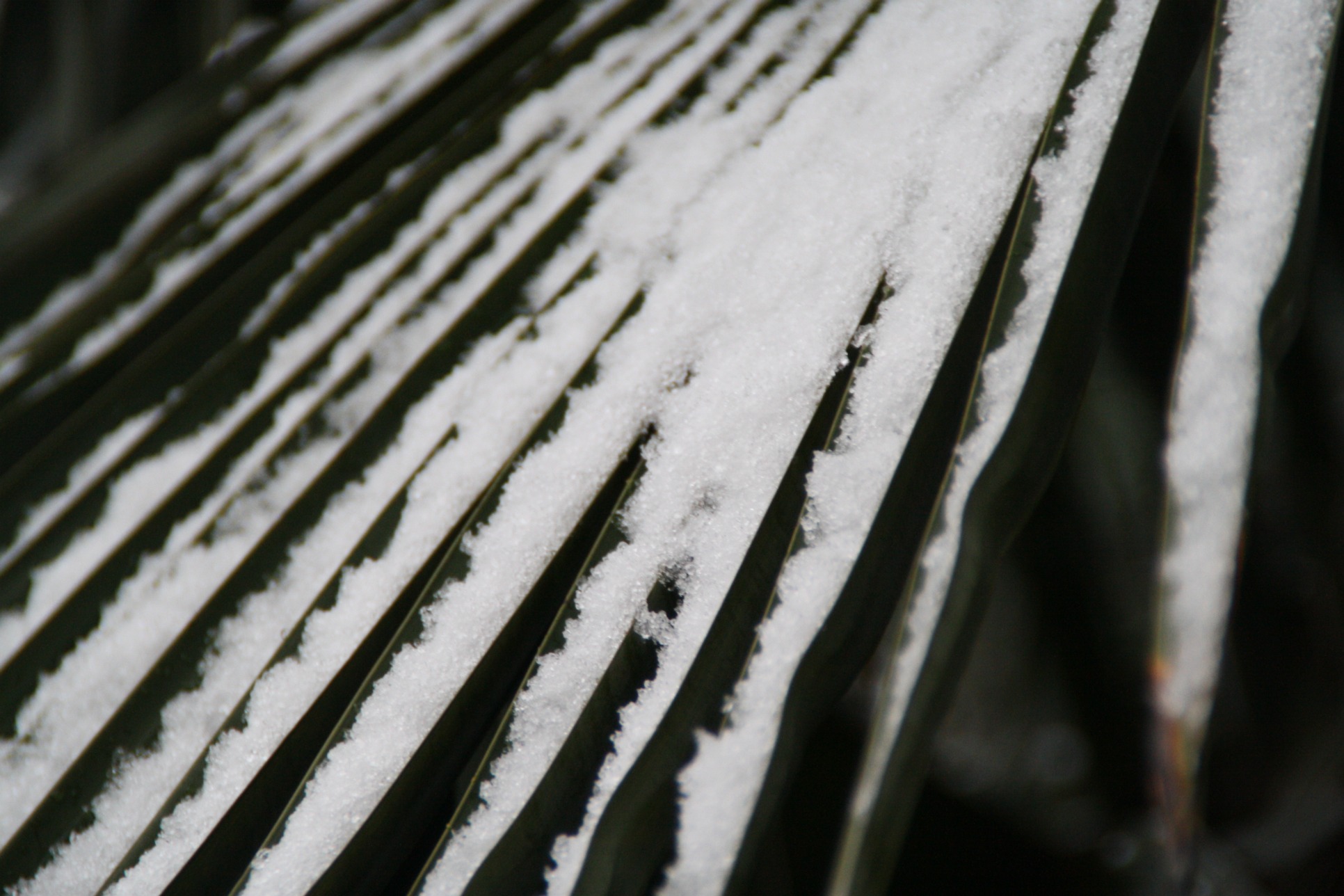 Fonds d'cran Nature Saisons - Hiver neige