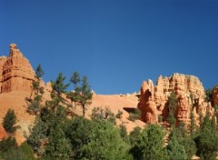 Wallpapers Nature Dixie National Forest