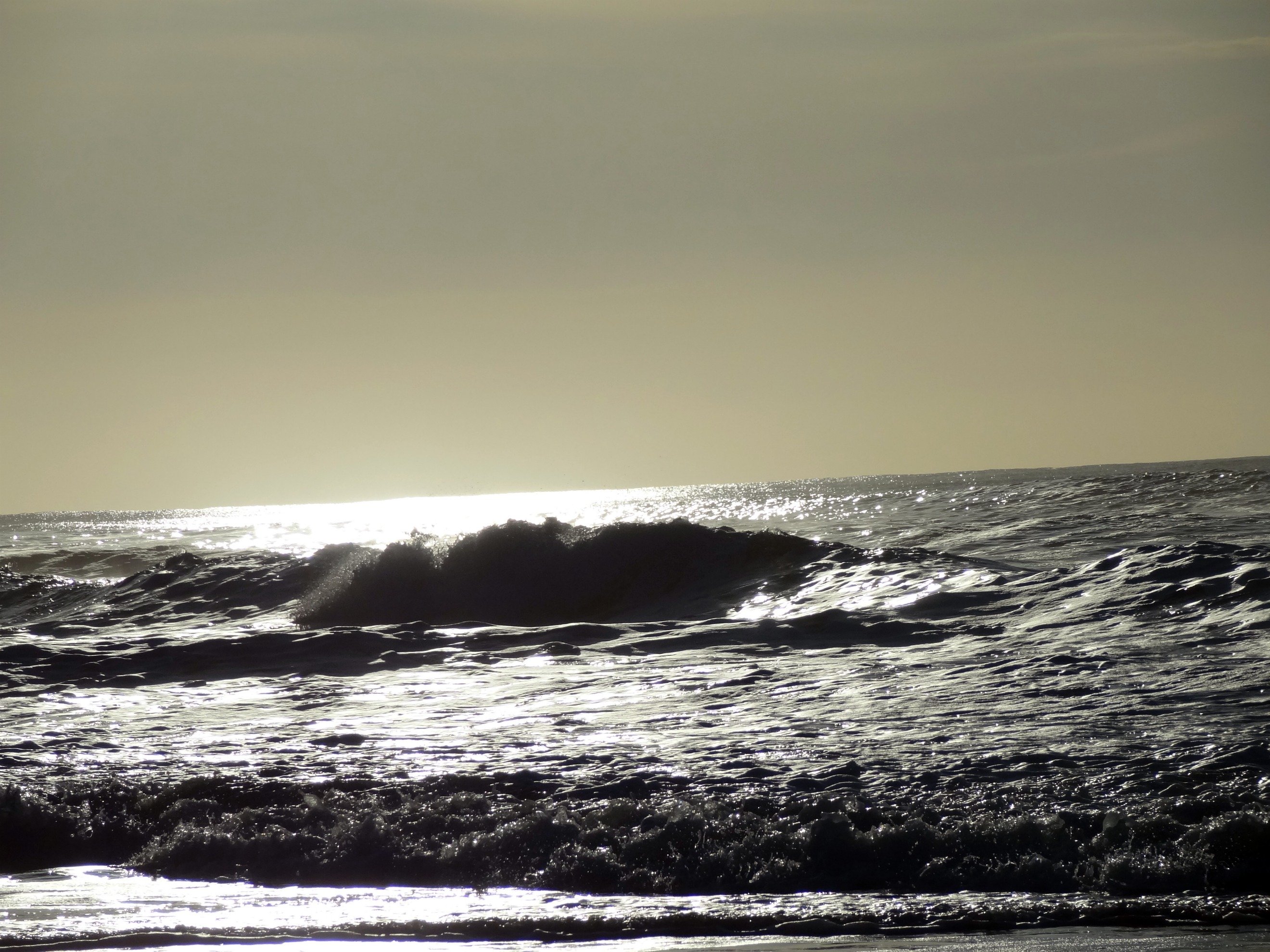 Fonds d'cran Nature Mers - Ocans - Plages Biscarrosse en dcembre