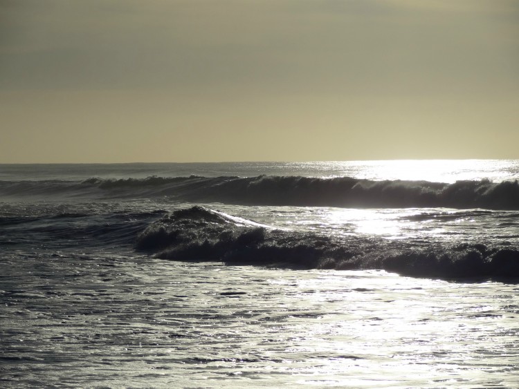 Fonds d'cran Nature Mers - Ocans - Plages Biscarrosse en dcembre