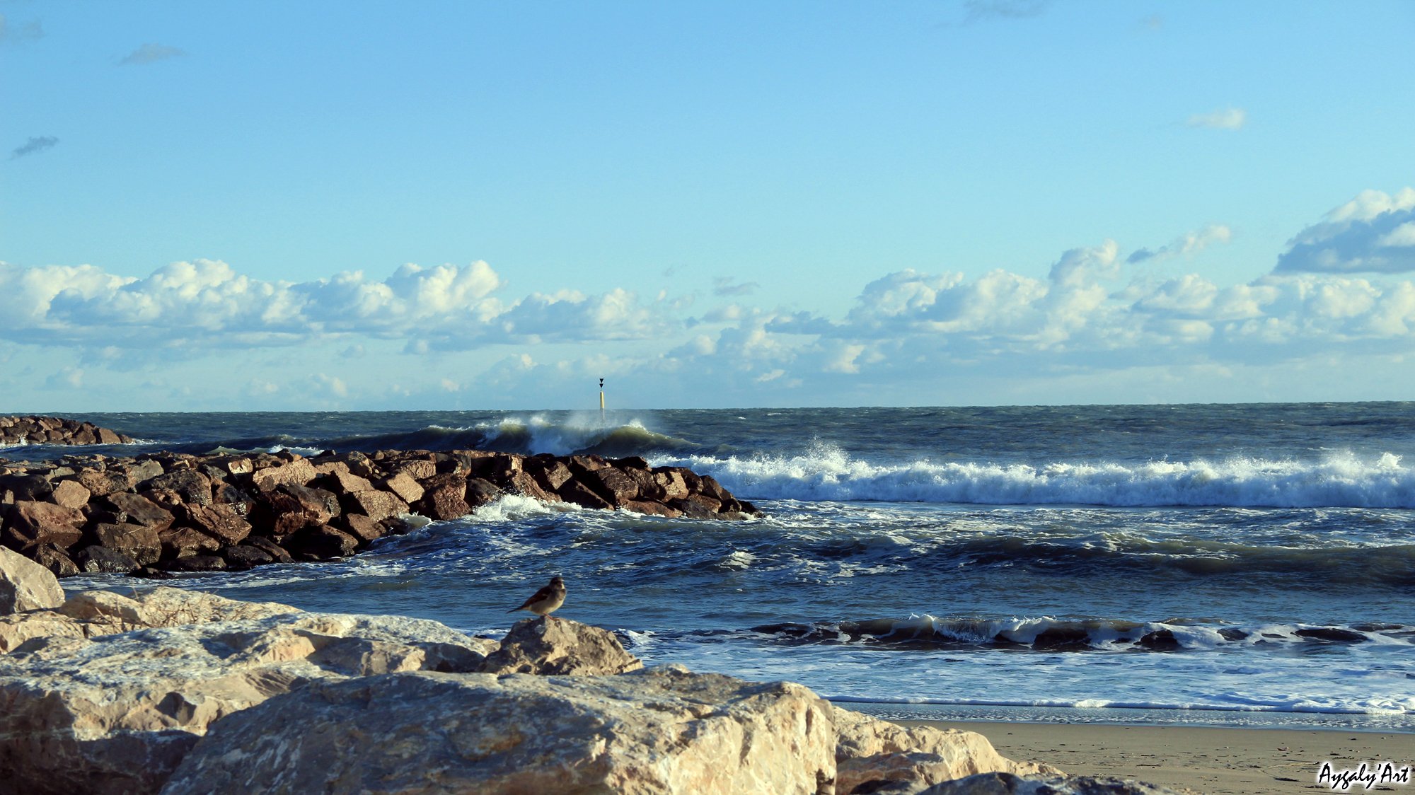 Fonds d'cran Nature Mers - Ocans - Plages Comme un commencement d'hiver mditranen