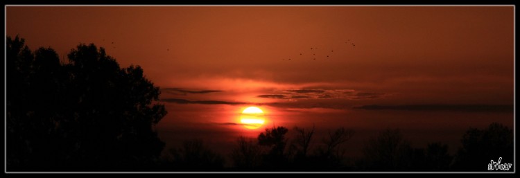 Fonds d'cran Nature Couchers et levers de Soleil Envole Sauvage au coucher de soleil