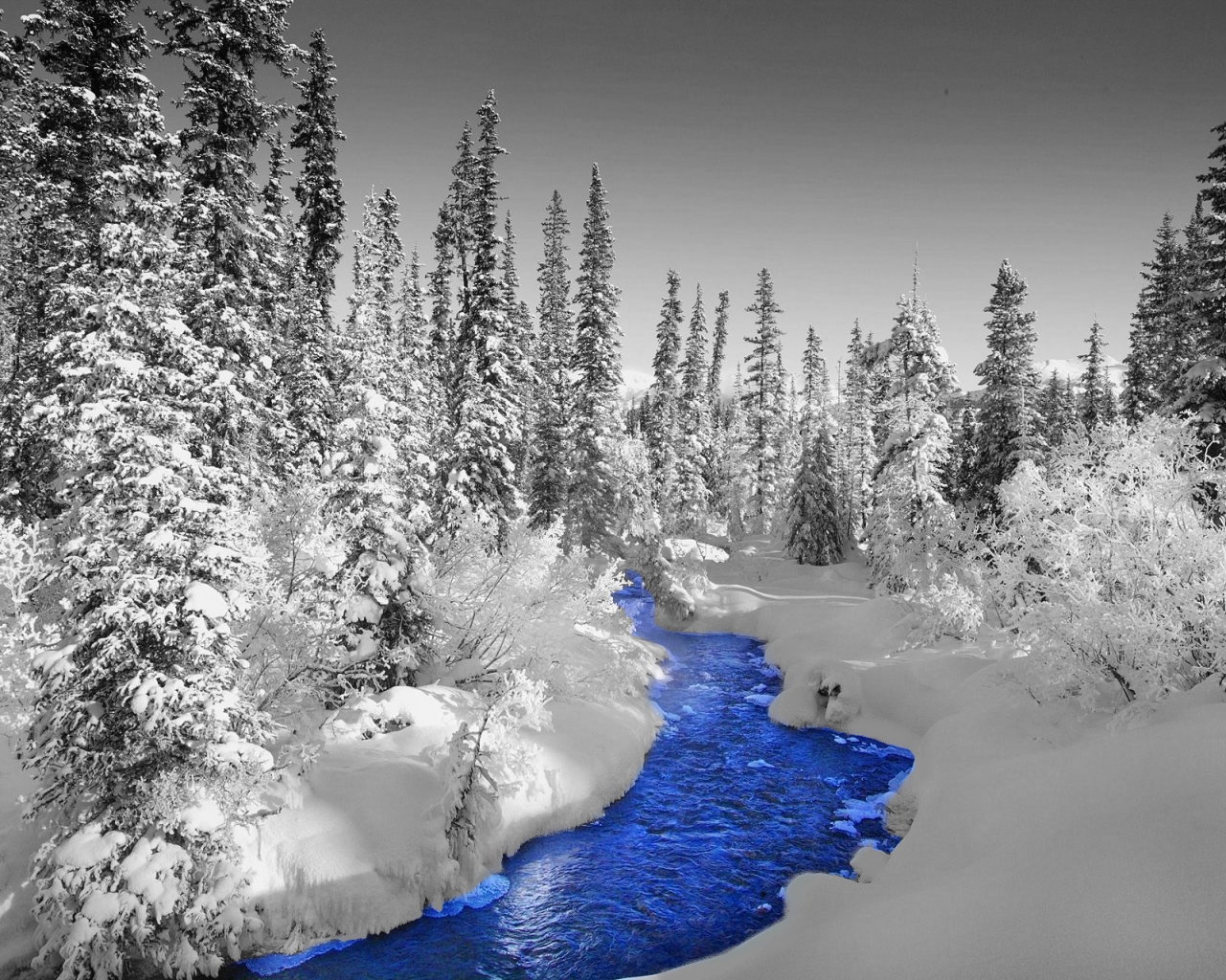 Wallpapers Nature Saisons - Winter Paysage d'hiver