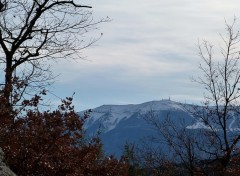 Fonds d'cran Nature Le Mt Ventoux vu du col d'Ey