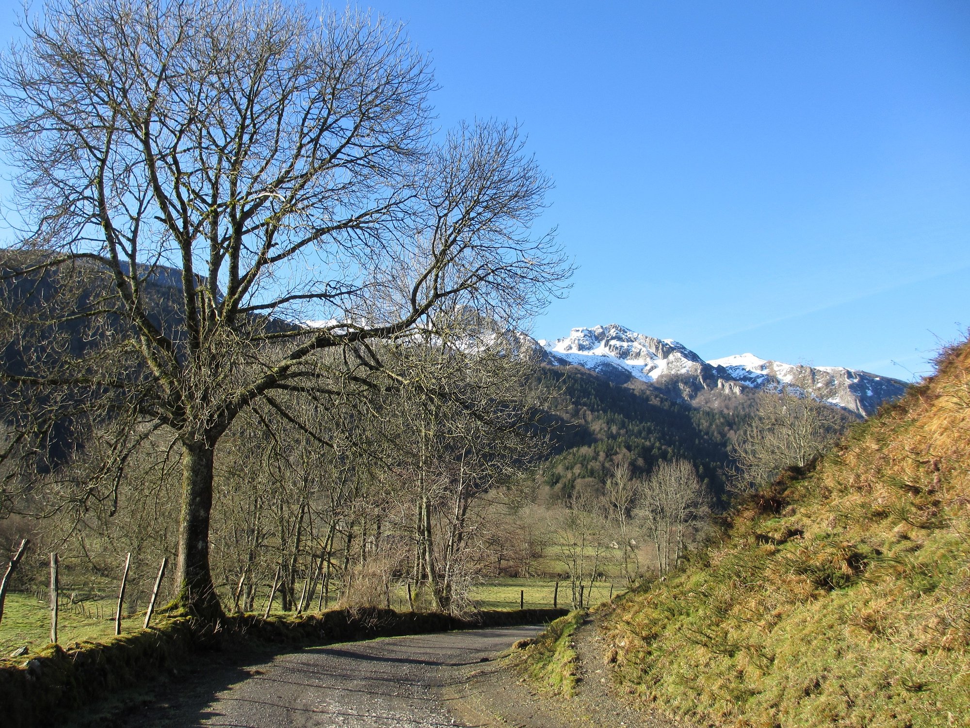 Fonds d'cran Nature Montagnes Chemin