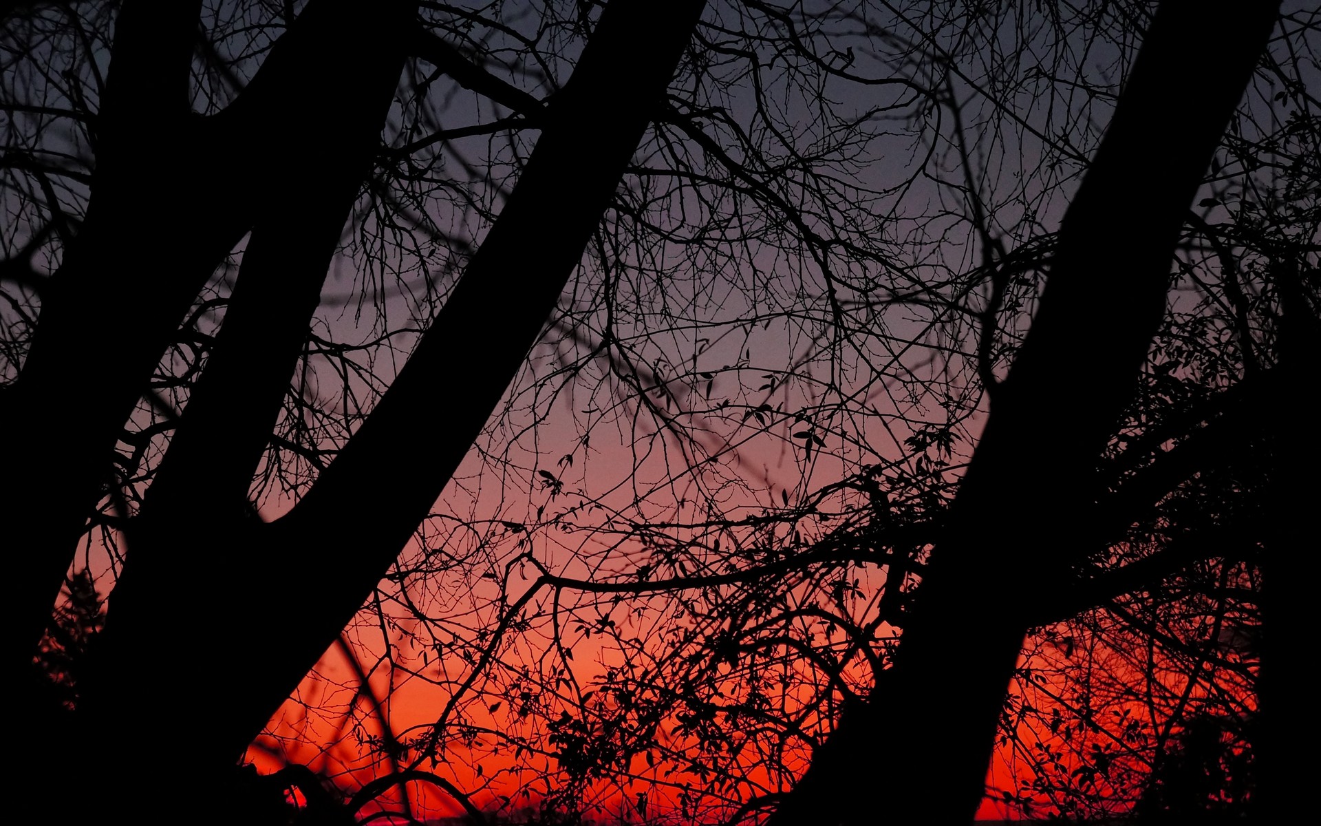 Fonds d'cran Nature Couchers et levers de Soleil 