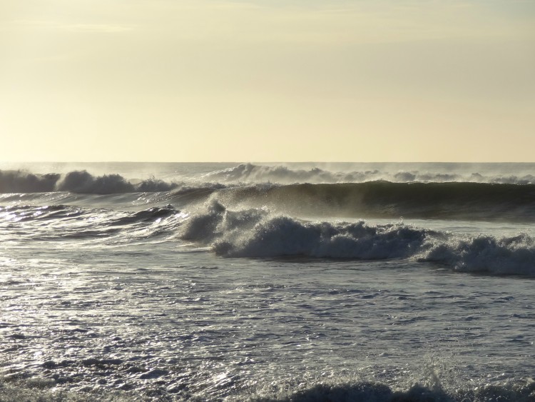 Fonds d'cran Nature Mers - Ocans - Plages Biscarrosse en dcembre