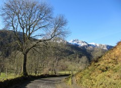 Fonds d'cran Nature Chemin