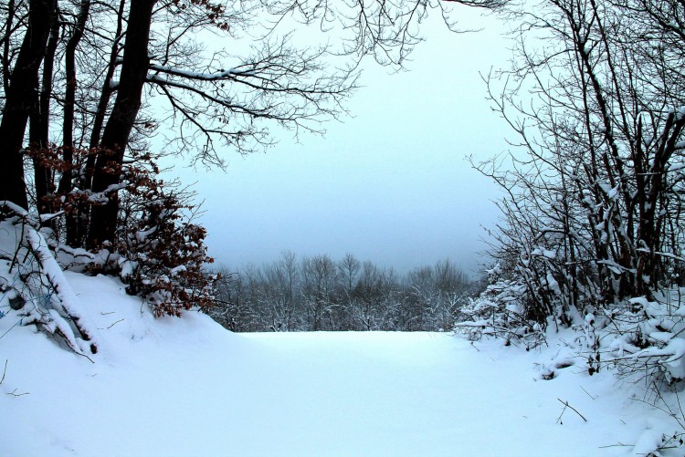 Wallpapers Nature Saisons - Winter tapis blanc