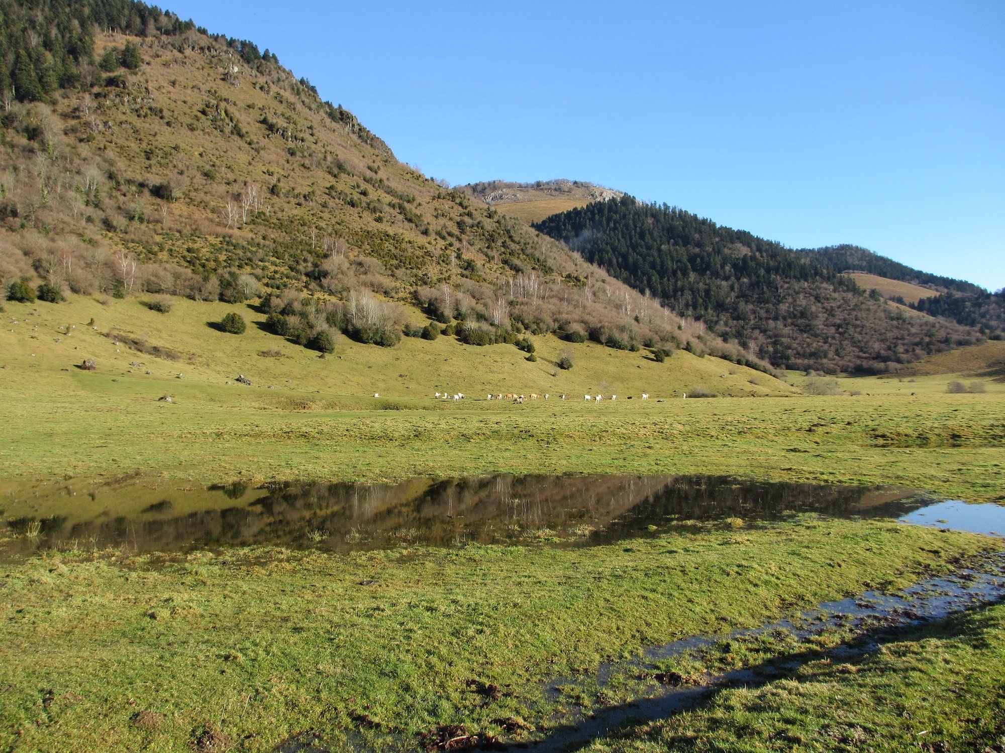 Fonds d'cran Nature Montagnes Plateau du Benou