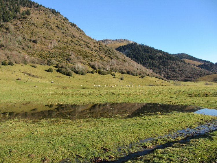 Fonds d'cran Nature Montagnes Plateau du Benou