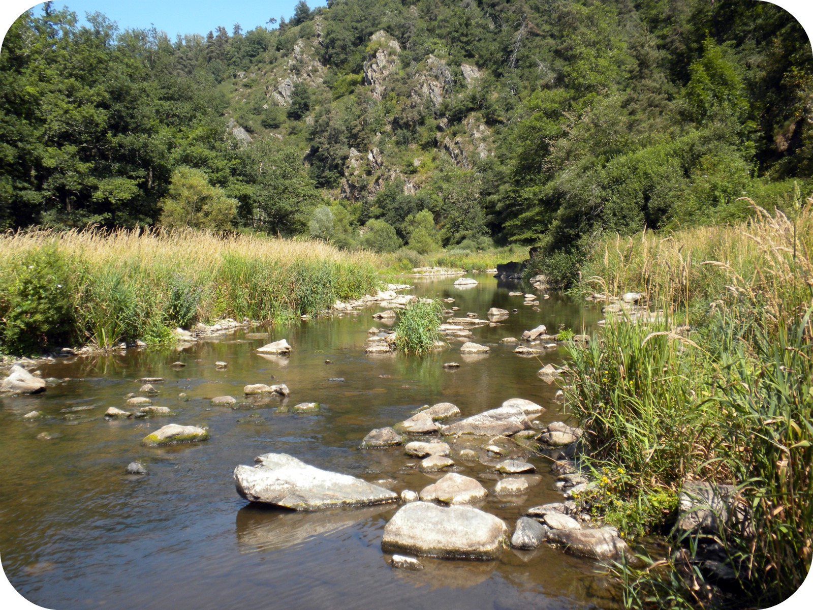 Fonds d'cran Nature Fleuves - Rivires - Torrents 