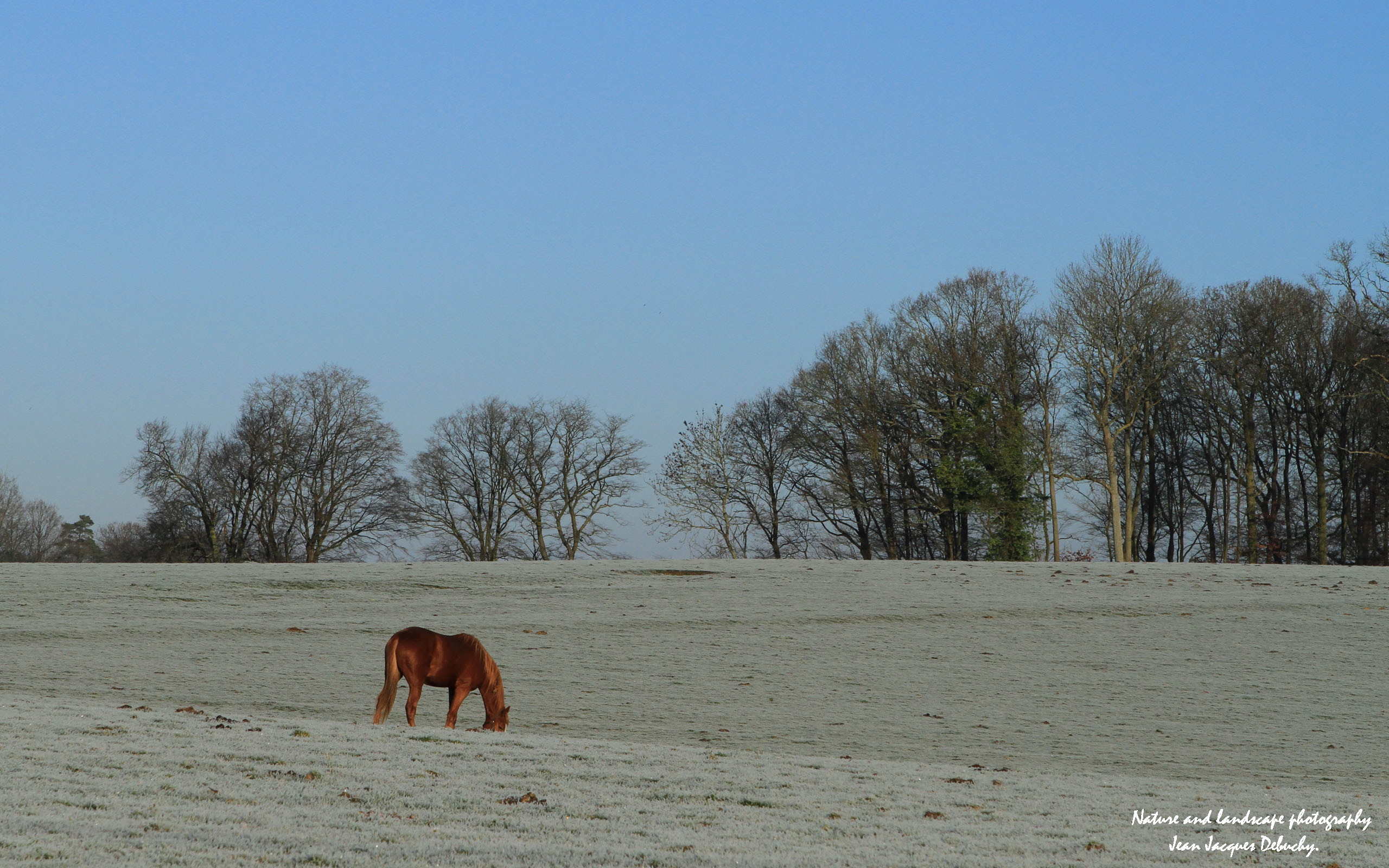 Wallpapers Nature Campaign Ciel bleu, -5 en Picardie/Oise