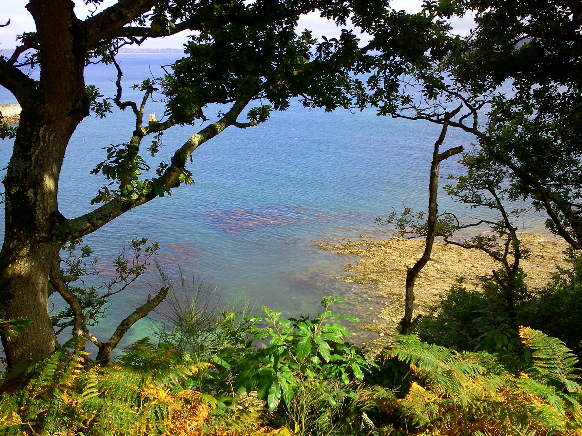 Fonds d'cran Nature Mers - Ocans - Plages Mini plage  Saint-Anne (lieu de balade)