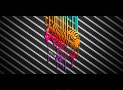 Wallpapers Digital Art Zebre