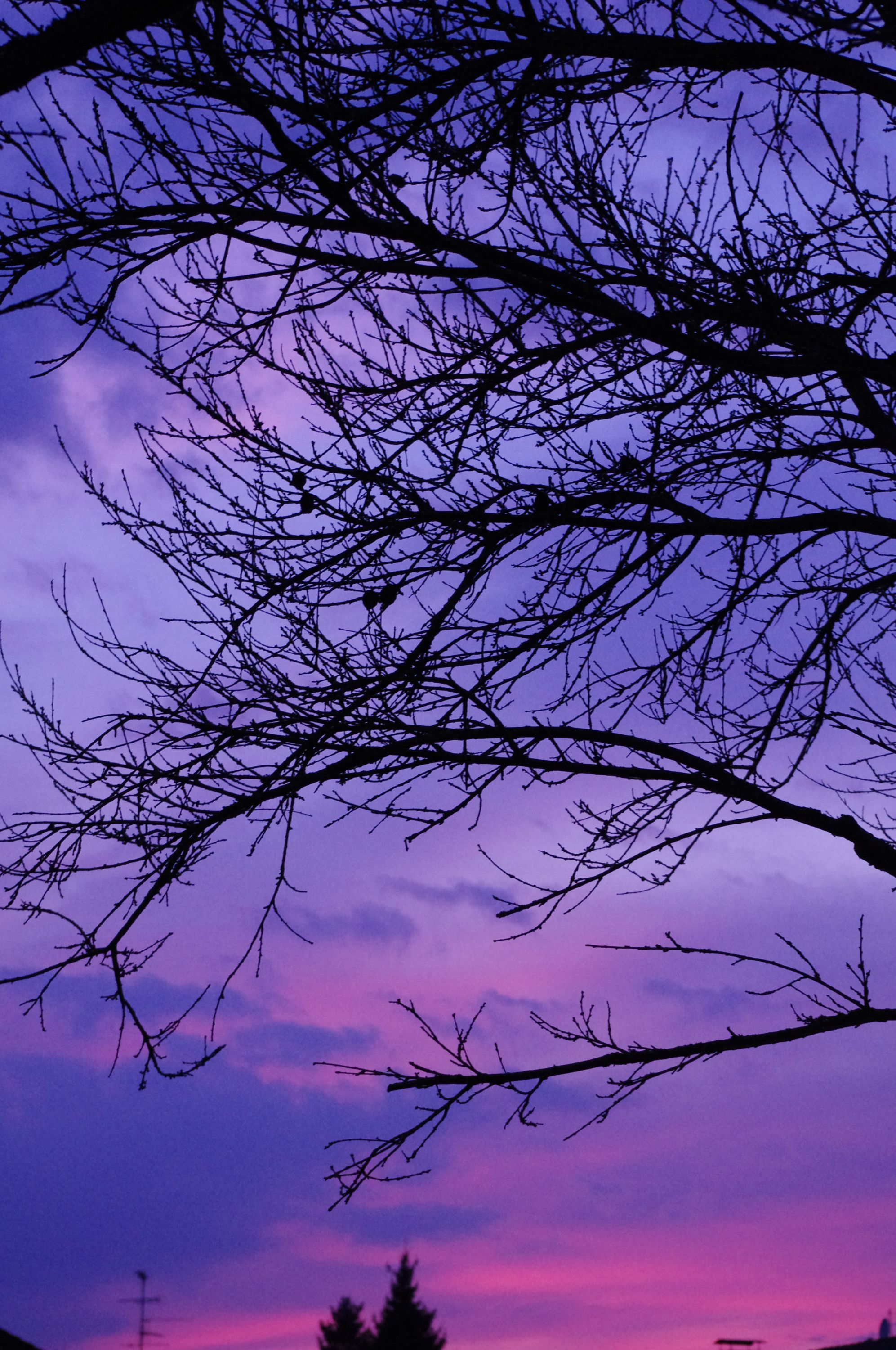 Fonds d'cran Nature Couchers et levers de Soleil Ciel romantique