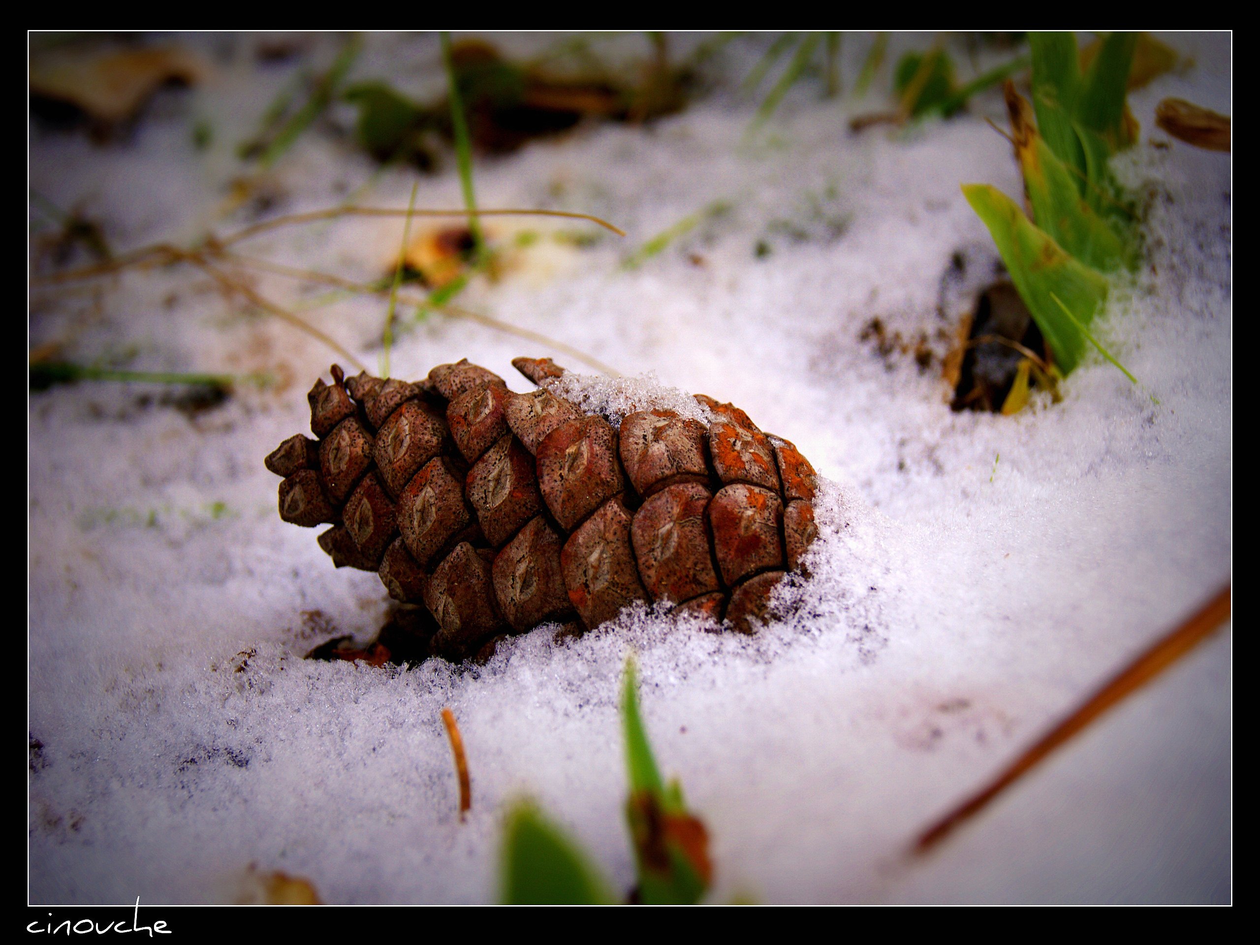 Wallpapers Nature Saisons - Winter 