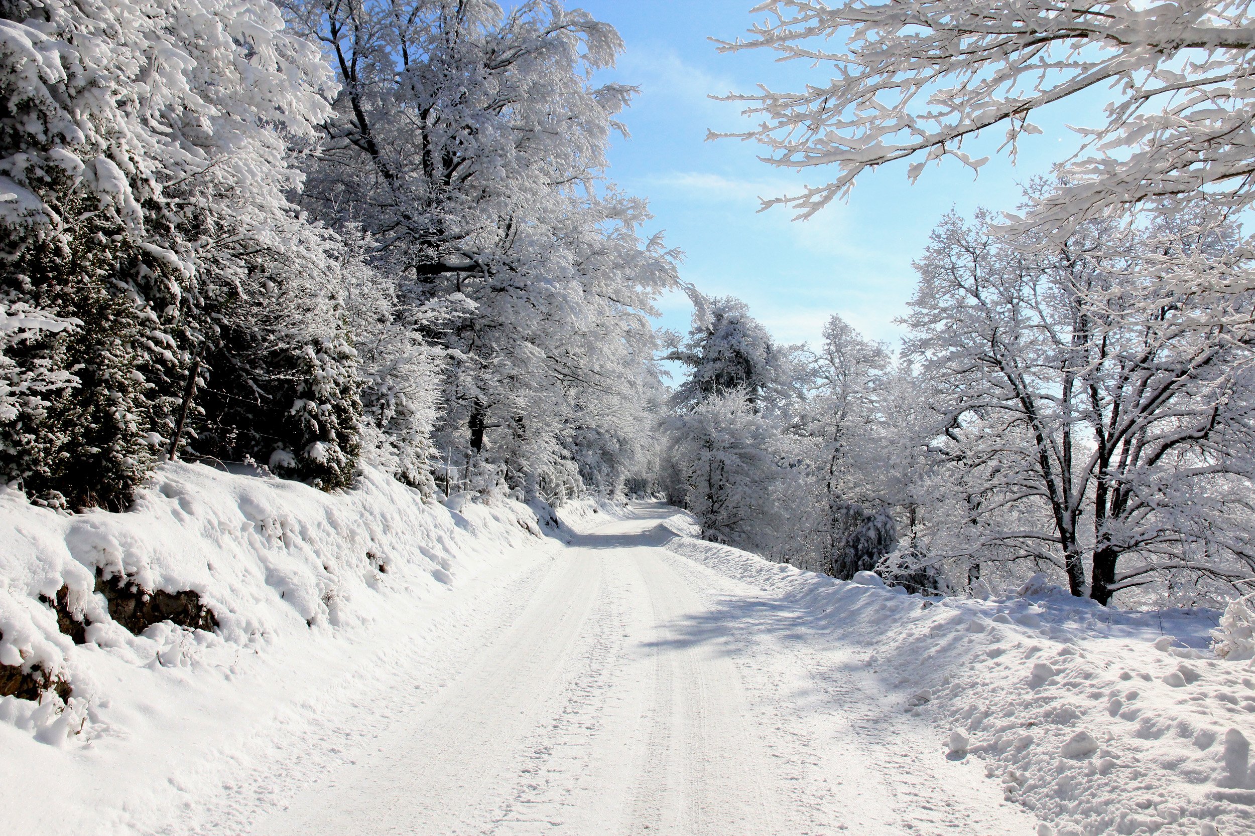 Fonds d'cran Nature Saisons - Hiver Route givre